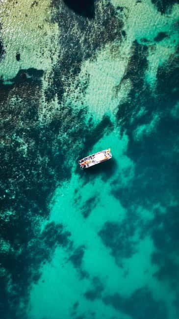 From Lagos: Ponta da Piedade Caves Kayak Tour from Catamaran - Why the nearby catamaran matters