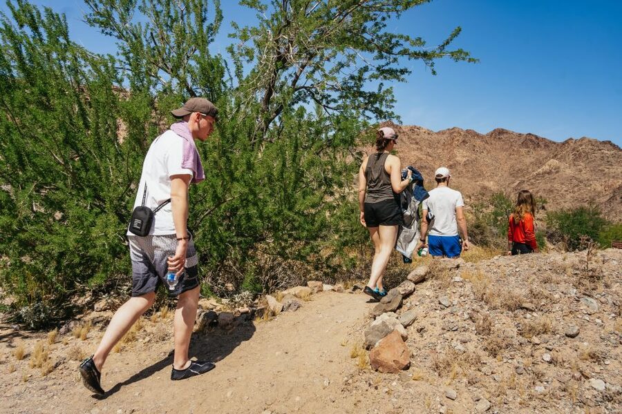 From Las Vegas: Black Canyon Half-Day Kayak Tour - What the $149 price really covers