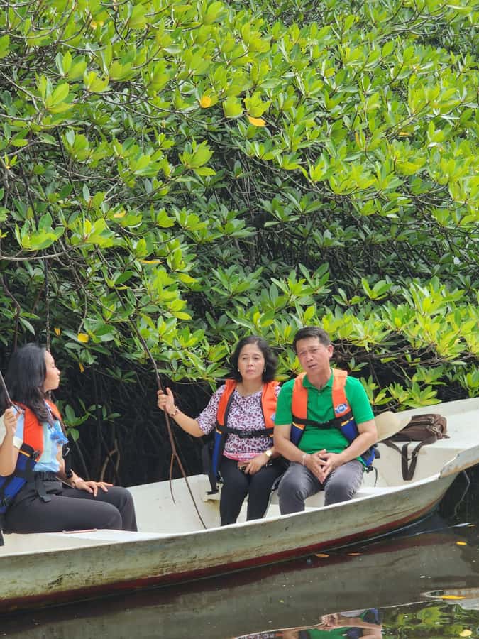 From Lembongan: Kayak/Paddleboard/Boat Mangrove Tour - Clear kayaks, transparent boats, and the sea section