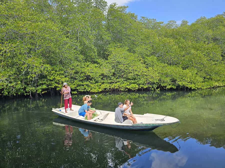 From Lembongan: Kayak/Paddleboard/Boat Mangrove Tour - Is $10 a good value?