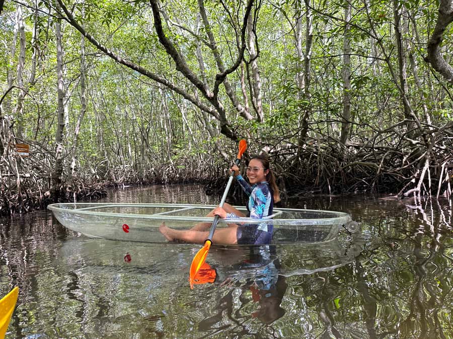 From Lembongan: Kayak/Paddleboard/Boat Mangrove Tour - What to wear and bring