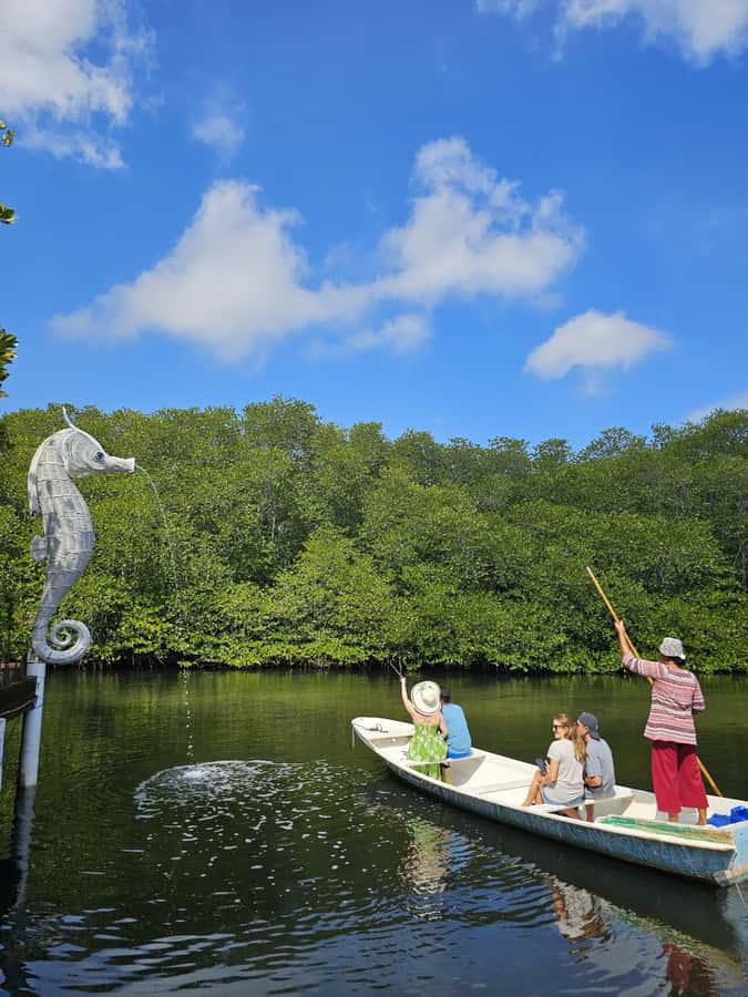 From Lembongan: Kayak/Paddleboard/Boat Mangrove Tour - Who should book this outing?