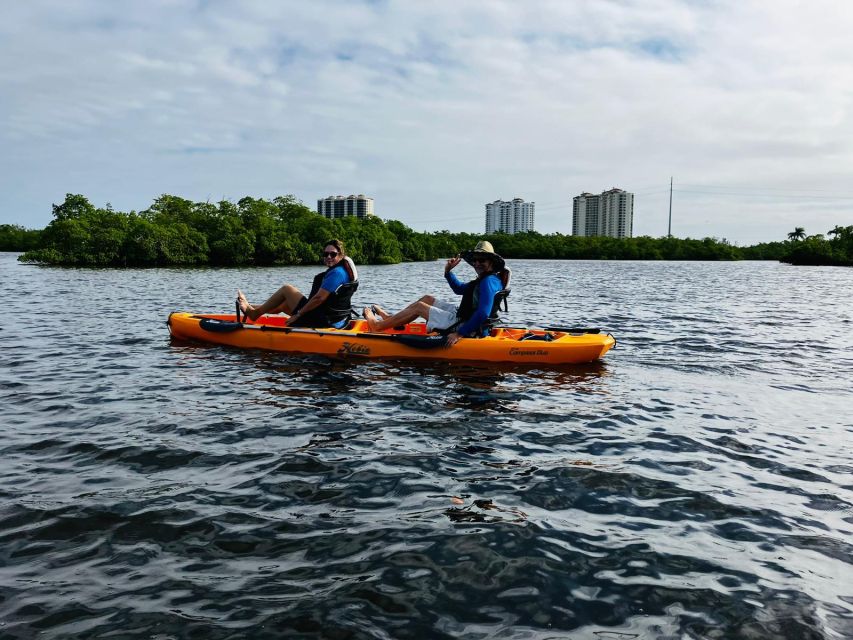From Naples, FL: Marco Island Mangroves Kayak or Paddle Tour - Wildlife sightings, with realistic expectations