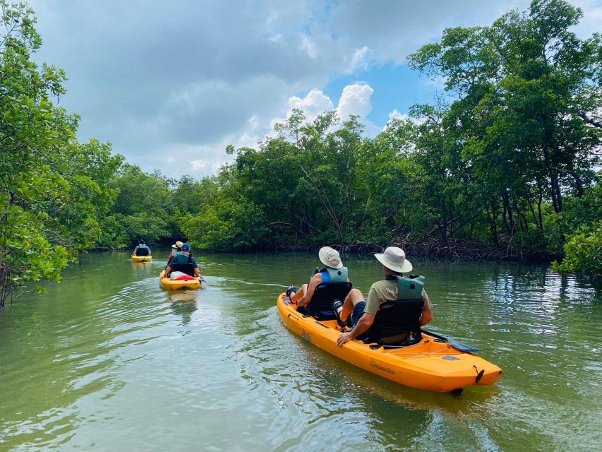 From Naples, FL: Marco Island Mangroves Kayak or Paddle Tour - What to wear and pack