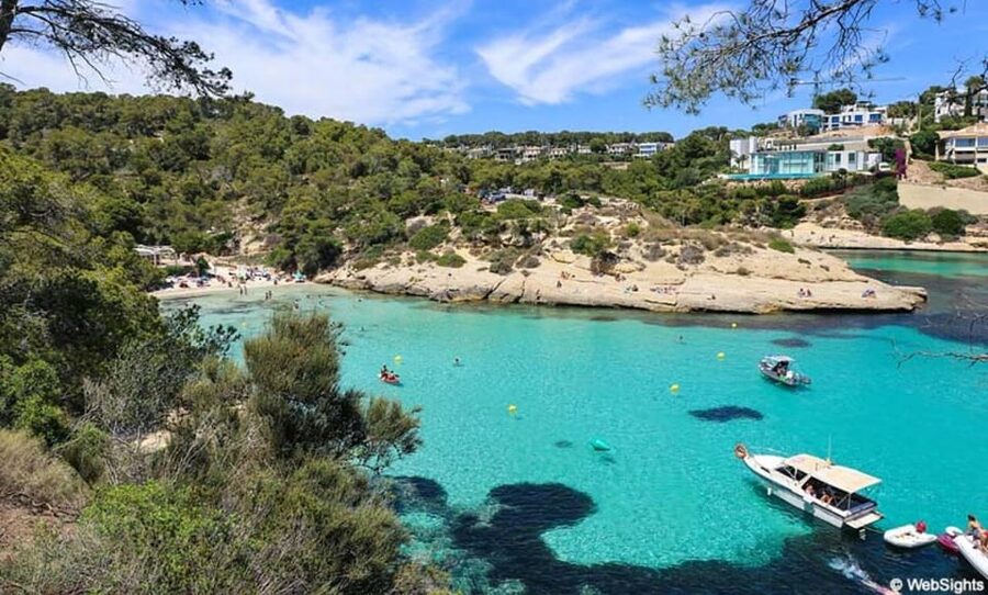 From Palma: Portal Vells Beach and Cave SUP & Snorkel Tour - Three hours at Platgeta de Portals Vells