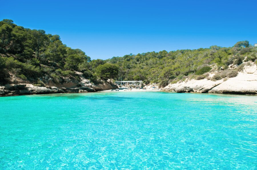 From Palma: Portal Vells Beach and Cave SUP & Snorkel Tour - The van ride from Palma and nearby resorts