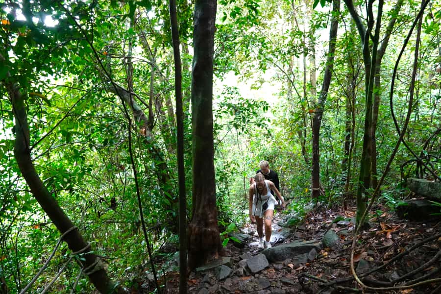 From Pattaya: Rayong Adventure Hike and Kayak Day Trip - Key points to know before booking