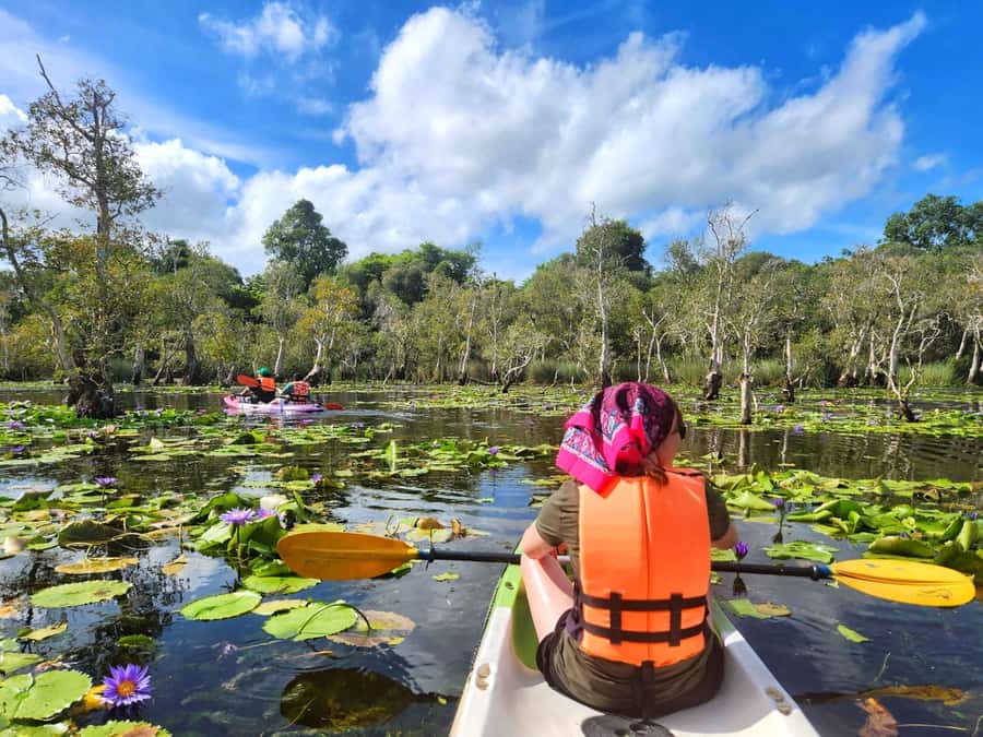 From Pattaya: Rayong Adventure Hike and Kayak Day Trip - Should you book it?