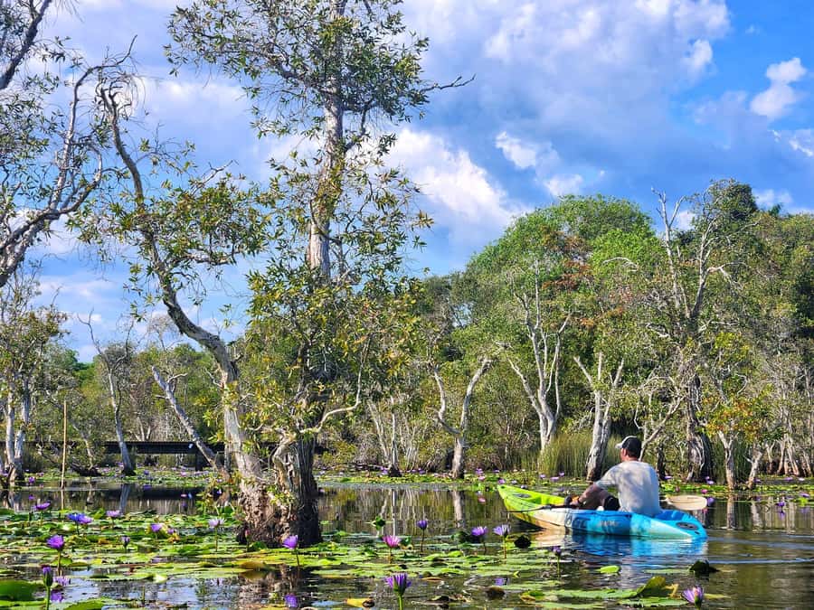 From Pattaya: Rayong Adventure Hike and Kayak Day Trip - Lunch near Pak Nam Prasae Village