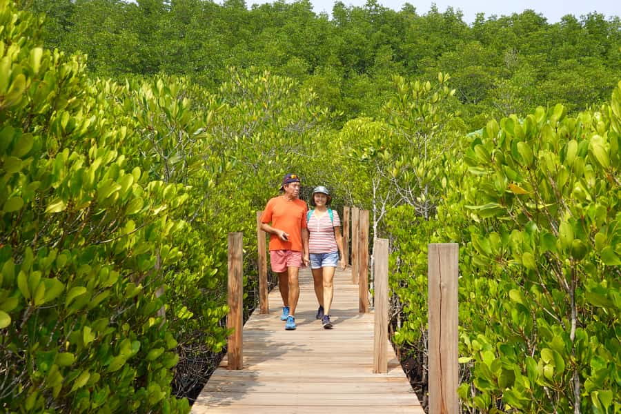 From Pattaya: Rayong Adventure Hike and Kayak Day Trip - Thung Prong Thong and the golden mangroves