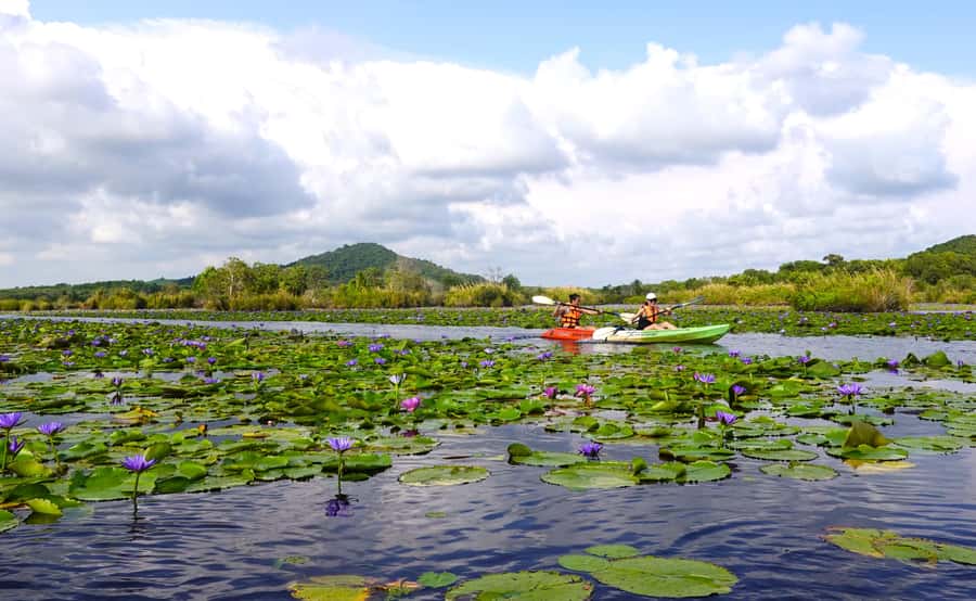 From Pattaya: Rayong Adventure Hike and Kayak Day Trip - What the $353 price really covers