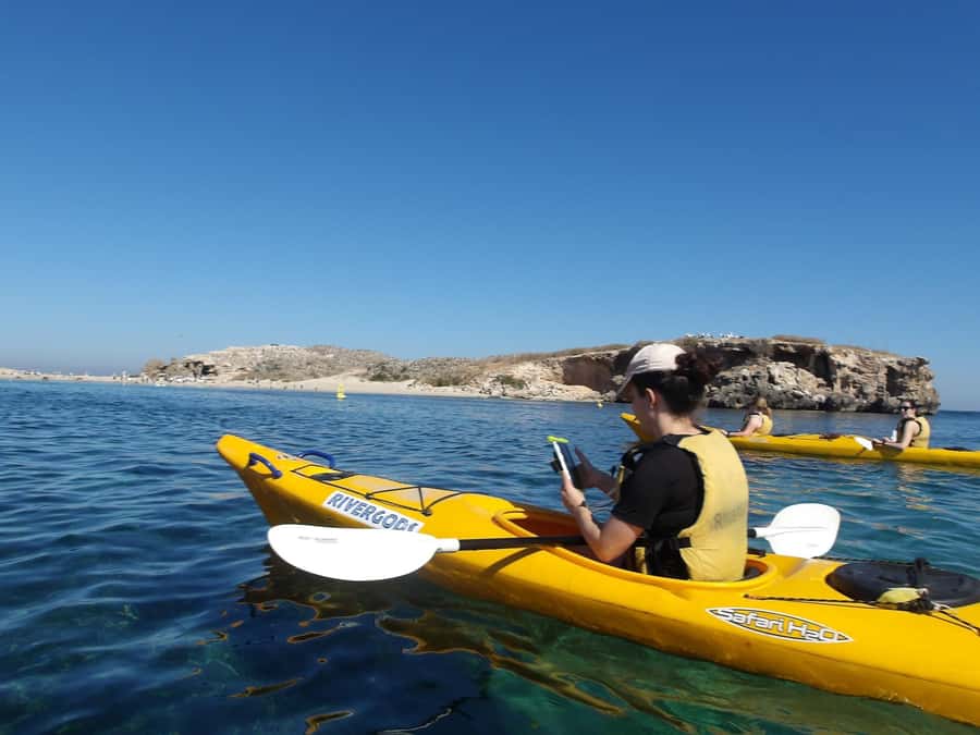 From Perth: Rockingham Seal & Penguin Islands Sea Kayak Tour - From Perth to Shoalwater Bay by 9 a.m.