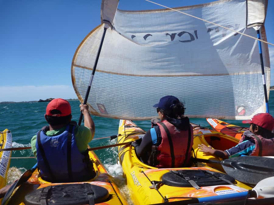 From Perth: Rockingham Seal & Penguin Islands Sea Kayak Tour - Who will enjoy this kayak day