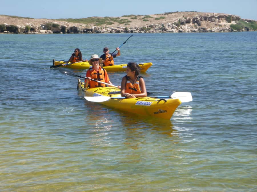 From Perth: Rockingham Seal & Penguin Islands Sea Kayak Tour - Packing advice for a smoother day