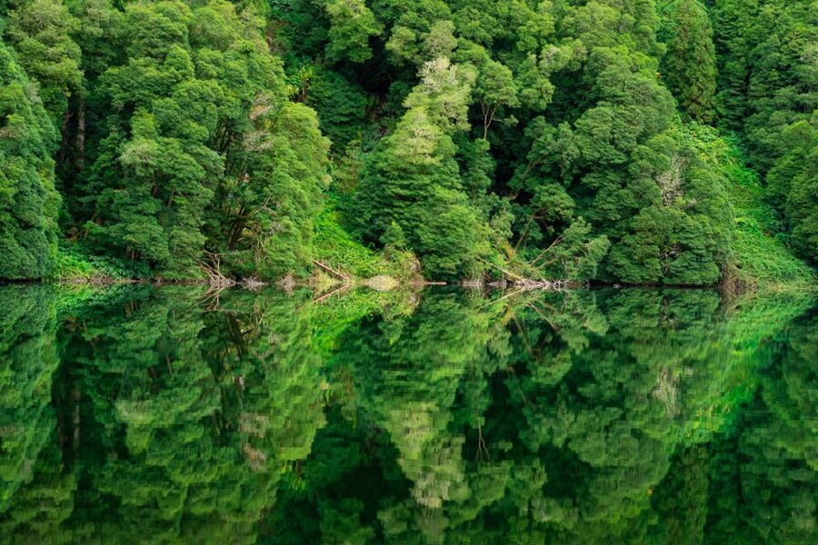 From Ponta Delgada: Sete Cidades Jeep, Bike, & Kayak Ride - Should you book it?