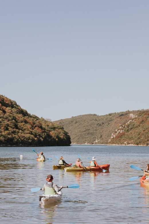 From Poreč: Lim Bay Sea Kayaking Day Trip - The 2.5-hour paddle through the bay
