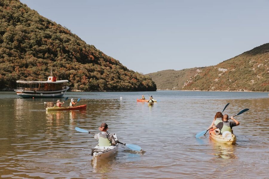 From Poreč: Lim Bay Sea Kayaking Day Trip - Who will enjoy this trip most?