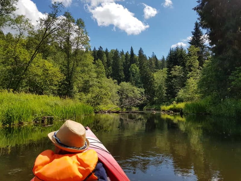 From Riga: Full-Day Scenic Gauja River Valley Kayaking Trip - The river route: cliffs, forests, and quiet bends