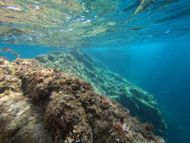 From Sant Feliu de Guíxols: Kayak and Snorkel in Costa Brava - The 20-minute snorkeling stop