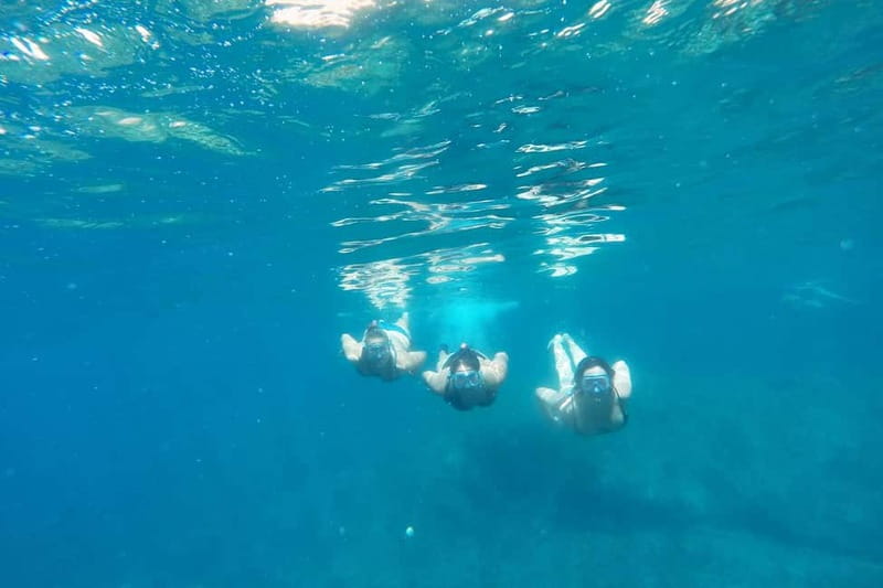 From Sant Feliu de Guíxols: Kayak and Snorkel in Costa Brava - Who will enjoy this most