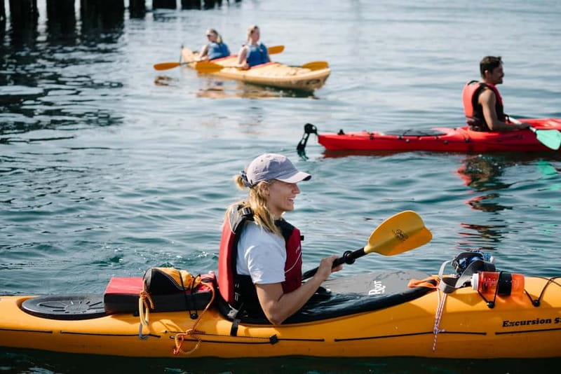 From Svolvær: Lofoten Guided Kayak Experience - Learning the basics before leaving shore