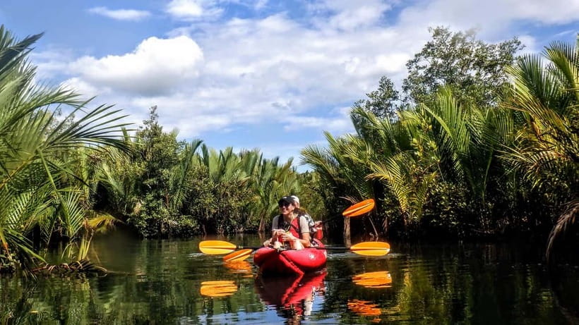 From Tagbilaran City/Panglao Island: Bohol Mangrove Kayaking - Why this Abatan River trip is worth your time