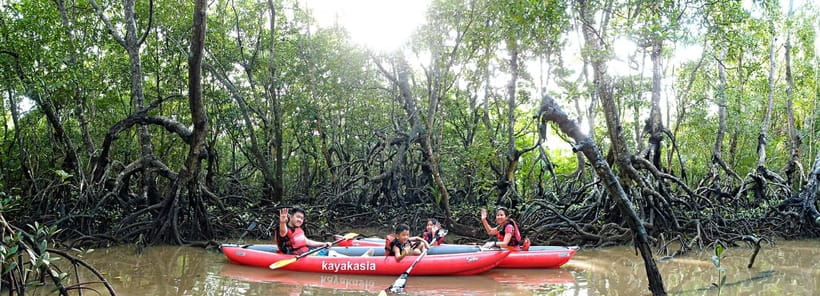 From Tagbilaran City/Panglao Island: Bohol Mangrove Kayaking - Safety, lessons, and getting comfortable in the kayak