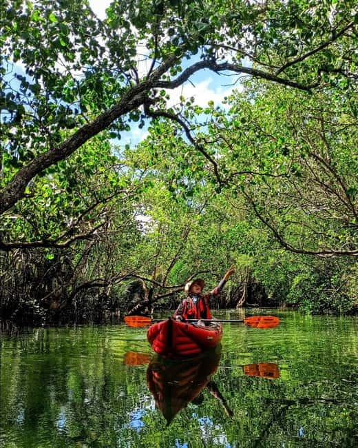 From Tagbilaran City/Panglao Island: Bohol Mangrove Kayaking - Food, facilities, and the useful extras