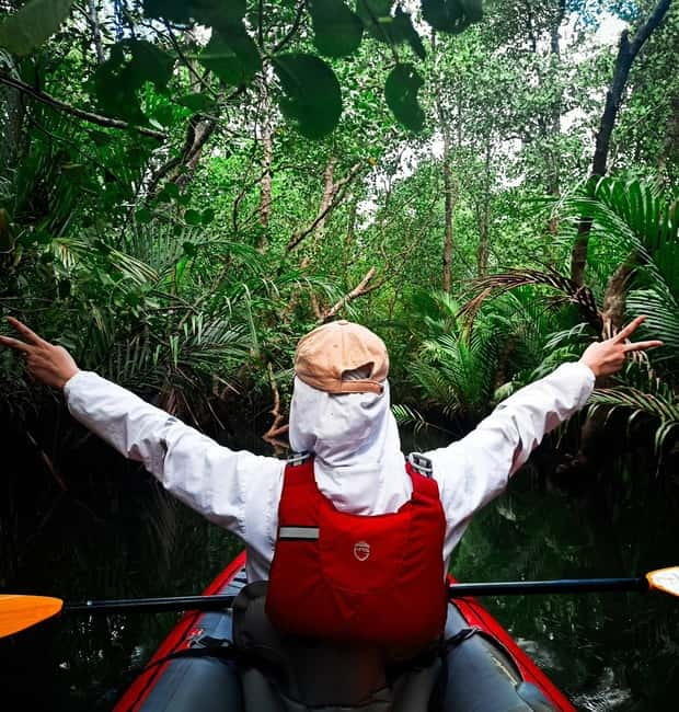 From Tagbilaran City/Panglao Island: Bohol Mangrove Kayaking - Who should book this experience?