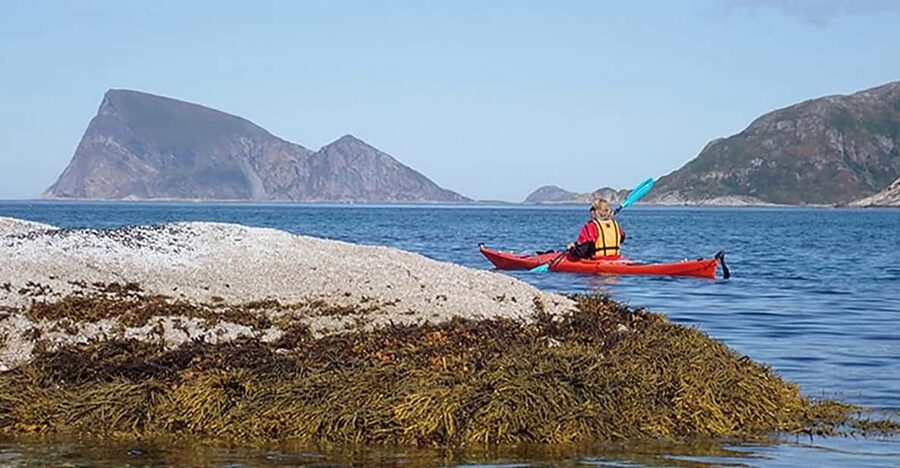 From Tromsø: Sea Kayaking Tour at Sommarøy - The beach stop adds welcome breathing room