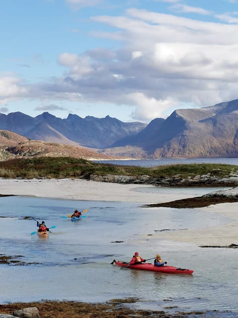 From Tromsø: Sea Kayaking Tour at Sommarøy - Wildlife sightings are possible, not promised