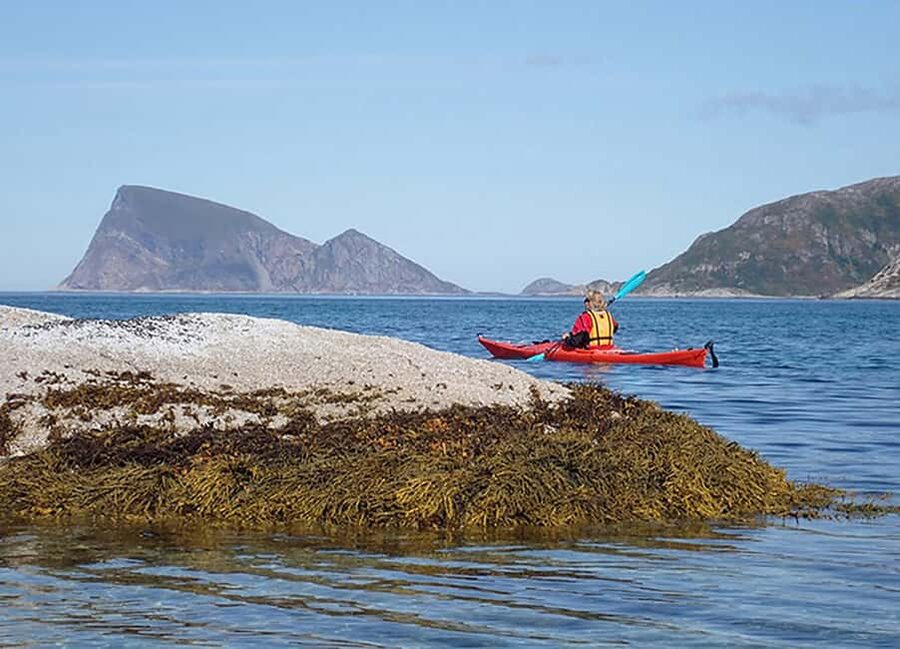 From Tromsø: Sea Kayaking Tour at Sommarøy - The guide makes the difference