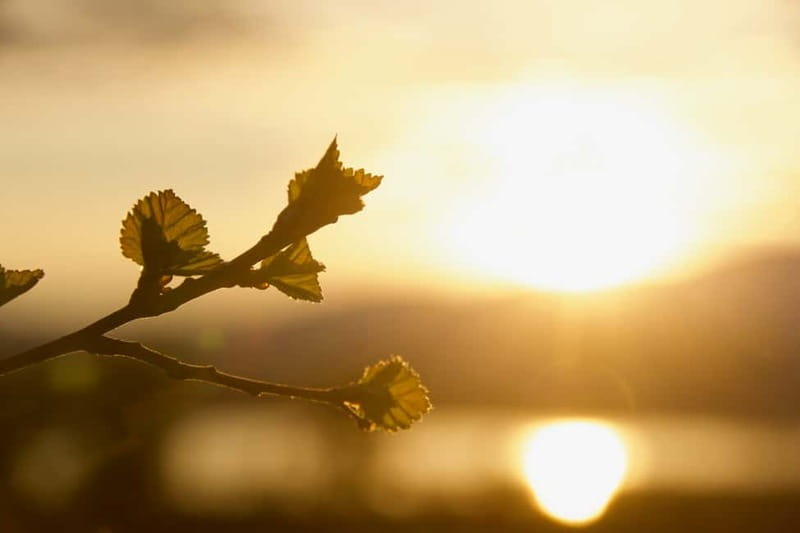 From Tromsø: Sommarøy Midnight Sun Sea Kayaking Tour - Paddling under a sun that never sets
