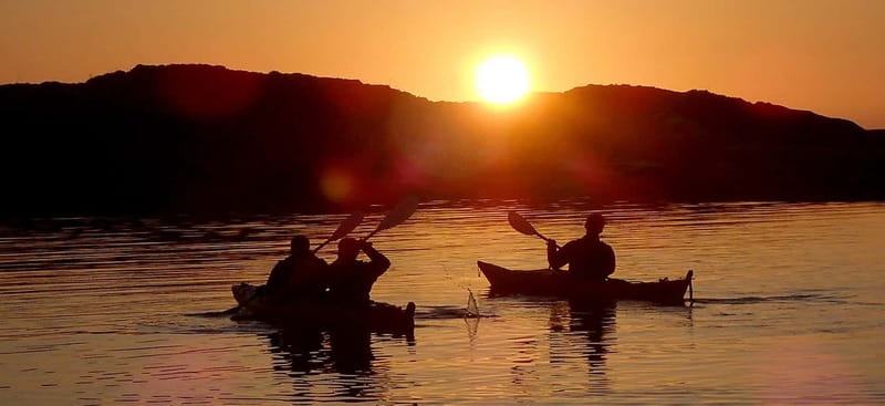 From Tromsø: Sommarøy Midnight Sun Sea Kayaking Tour - The guide can shape the whole day