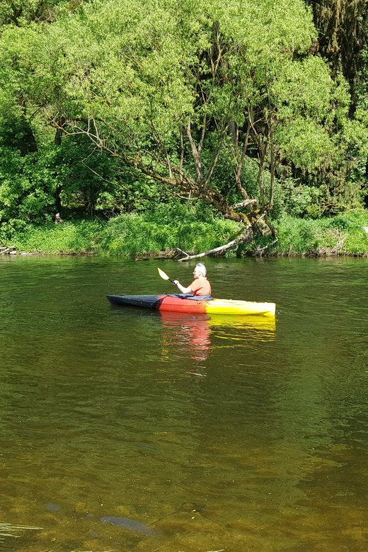 From Viechtach: Regen River Canoe Tour to Höllensteinsee - Paddling the Schwarzer Regen through Bayerisch Kanada