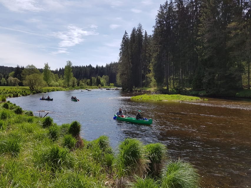 From Viechtach: Regen River Canoe Tour to Höllensteinsee - Who will enjoy this canoe trip most?