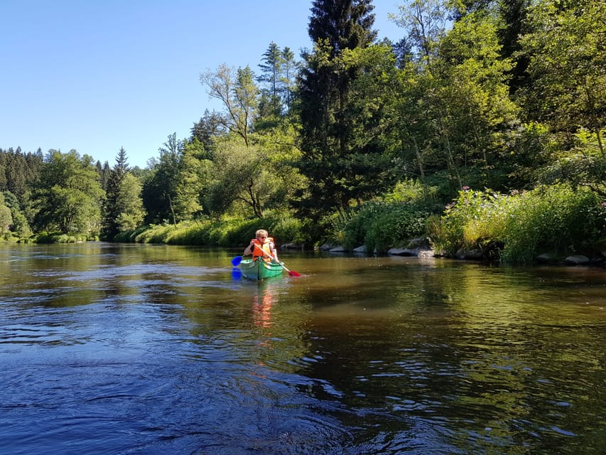 From Viechtach: Regen River Canoe Tour to Höllensteinsee - Timing, cancellation, and overall value