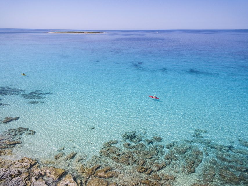 From Zadar: Dugi Otok Half-Day Kayak Adventure - Veli Žal gives you a gentle start