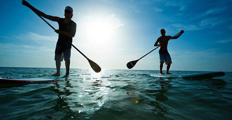 Fuerteventura: 1.5-Hour SUP Course - Caleta de Fuste - Key points to know before booking