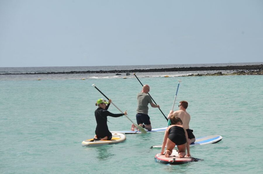 Fuerteventura: 1.5-Hour SUP Course - Caleta de Fuste - Is $41 a fair price?