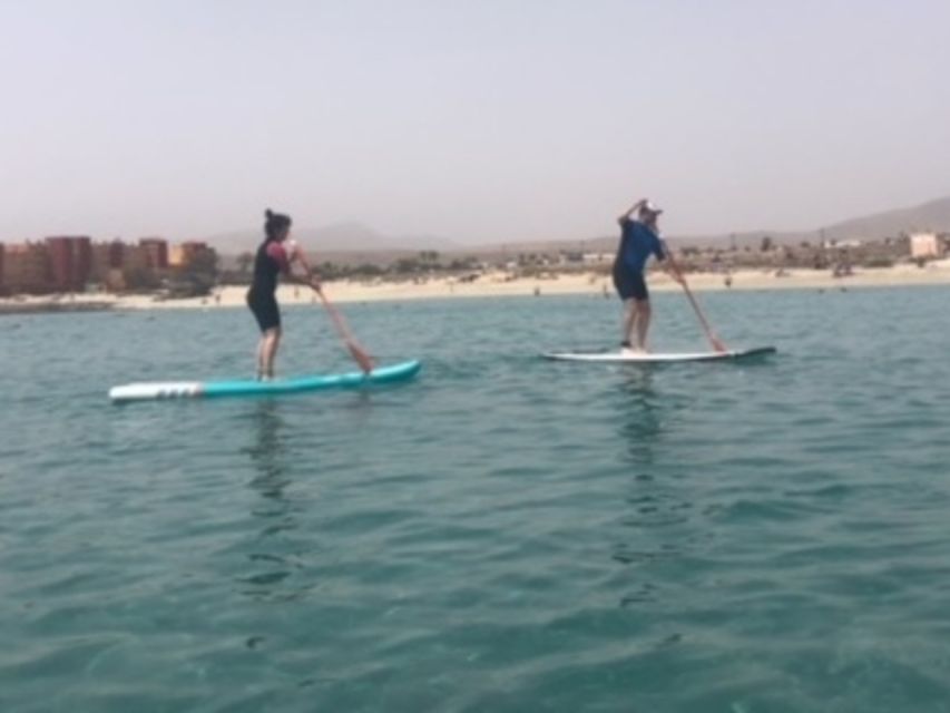 Fuerteventura: 1.5-Hour SUP Course - Caleta de Fuste - Caleta de Fuste gives beginners a friendly setting