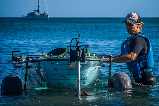 Fuerteventura: Transparent Electric Kayaks with Guide - Key points to know before booking