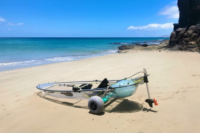 Fuerteventura: Transparent Electric Kayaks with Guide - Is $100 per person good value?