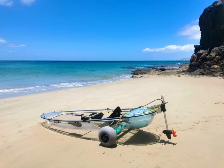 Fuerteventura: Transparent Electric Kayaks with Guide - Who will enjoy this most?