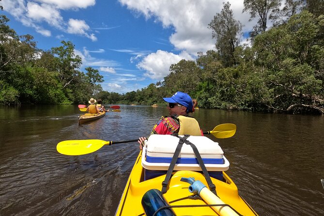 Full-Day Guided Noosa Everglades Kayak Tour - Wildlife watching on a quiet morning