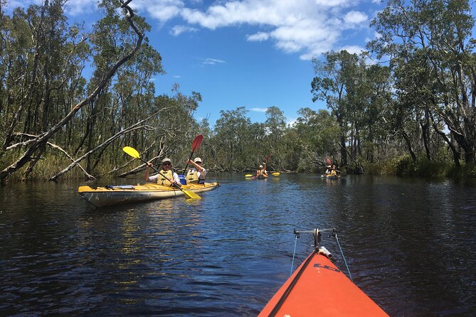 Full-Day Guided Noosa Everglades Kayak Tour - The swimming stop and waterfront lunch