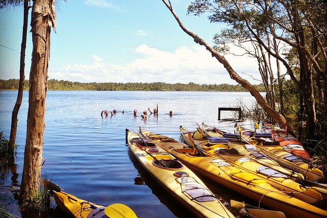 Full-Day Guided Noosa Everglades Kayak Tour - What the $149.90 price includes