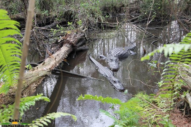 Full-Day Kayak Adventure in the Everglades - Slogging through a wet cypress dome