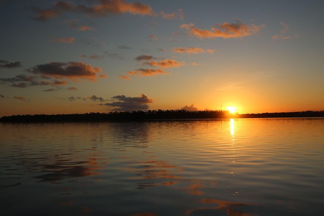 Full-Day Kayak Adventure in the Everglades - Is $75 a fair price?