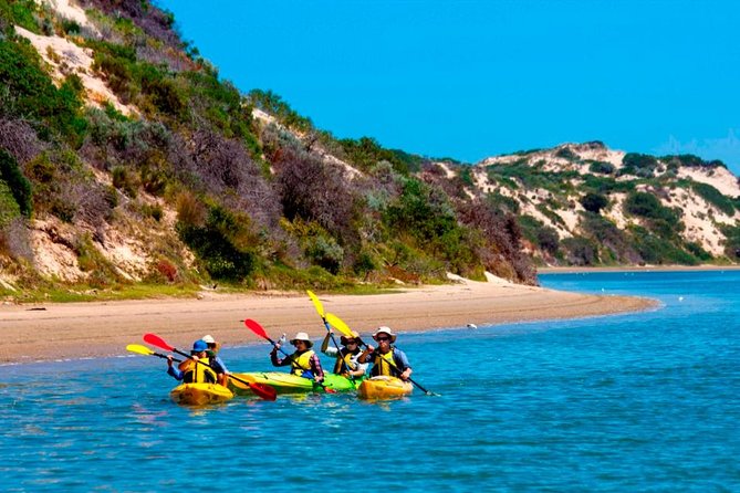 Full Day Kayaking Tour in Coorong National Park - What makes this Coorong day special